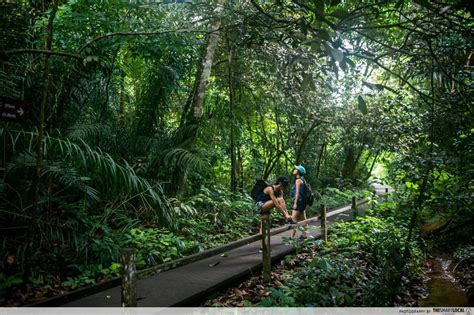 7 Walking Trails In Singapore For Girls To Put Their Activewear To Good Use
