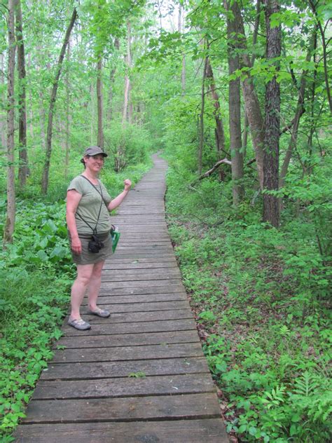 Terri Of The Trails The Great Marsh Of The Indiana Dunes Swamp