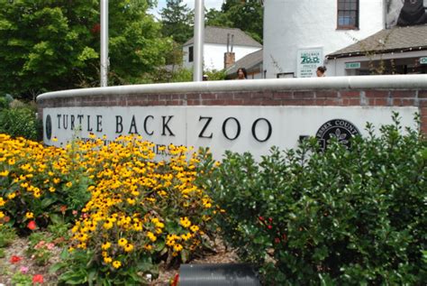Turtle back zoo gift shop. Margaret Montet: Turtle Back Zoo