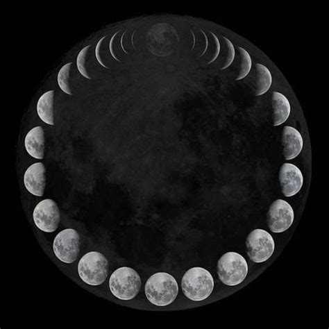 Dark Moon Versus New Moon Are They The Same Thing Exemplore