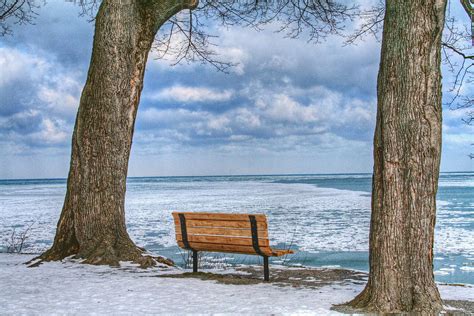 Winter Bench On Lake Ontario Photograph By Heather Allen Fine Art America