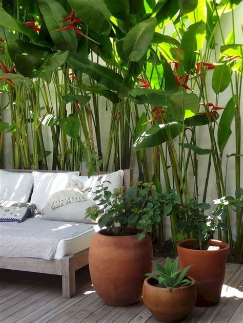 30 Amazing And Beautiful Tropical Garden Ideas 23 Gardenideazcom