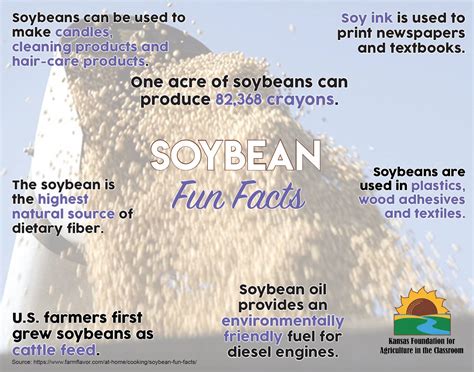 Soybean Fun Facts Poster Kansas Agriculture In The Classroom