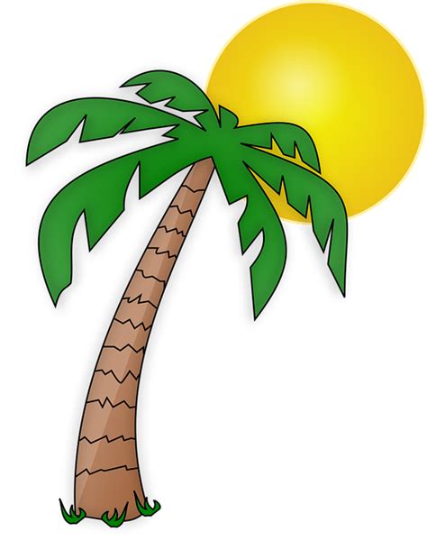 Isla Gráficos Vectoriales Gratis En Pixabay Palmera Dibujo Plantas