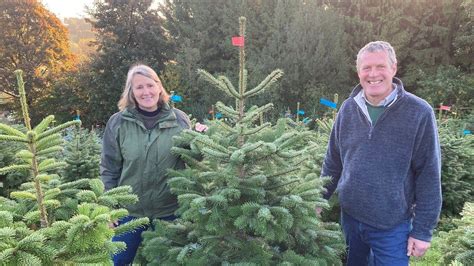 Cornish Christmas Wreaths Presented To Downing Street Bbc News