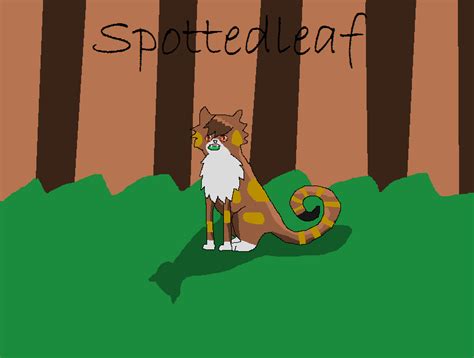 Spottedleaf Warrior Cats Art Wiki Fandom