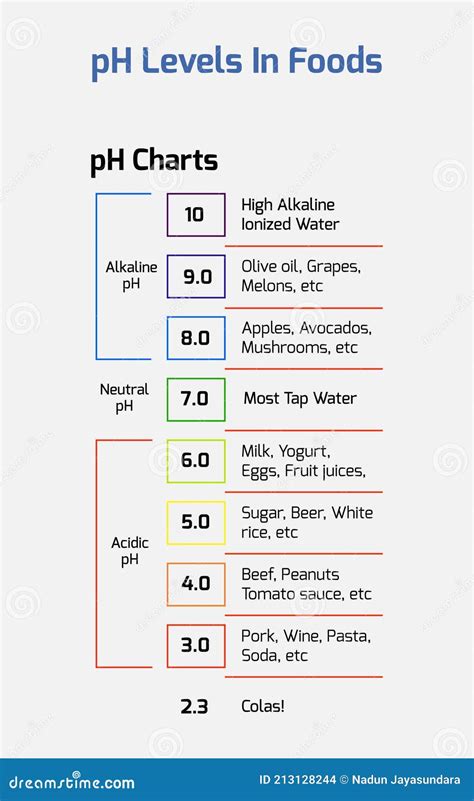 Ph Levels In Foods Water Ph Levels Food Ph Scale Vector Eps 10