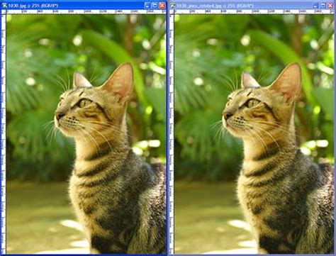 Most common image file format used by digital cameras and other image capturing devices. Image Compression | KMN - Digital Graphics