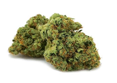Check spelling or type a new query. Forbidden Fruit | Marijuana Strain Reviews | AllBud