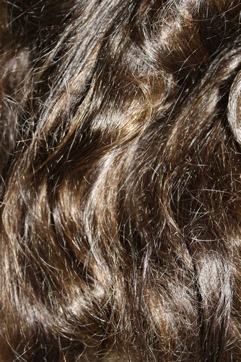Wavy Brown Hair Texture Picture Free Photograph Photos