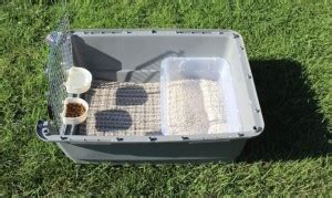 Travel litter boxes can fit a variety of descriptions. Transport Crates - Manoir Kanisha