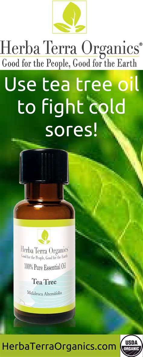 Heal Your Body With The Natural Ingredients In Tea Tree Oil