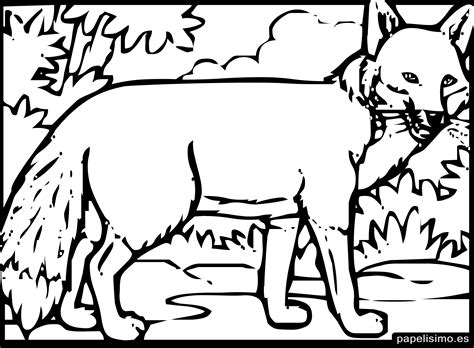 24 animales para colorear para niños - PAPELISIMO