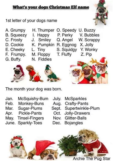 Christmas Themed Names For Pets The Cake Boutique