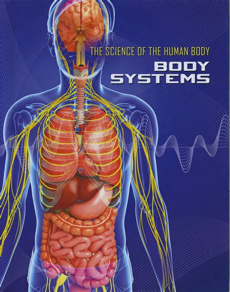 Human Body Systems Human Anatomy Quiz Quizizz Gambaran