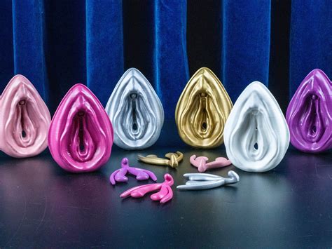 Anatomical Model Vulva Clitoris And Educational Notes 3d Printed Vagina