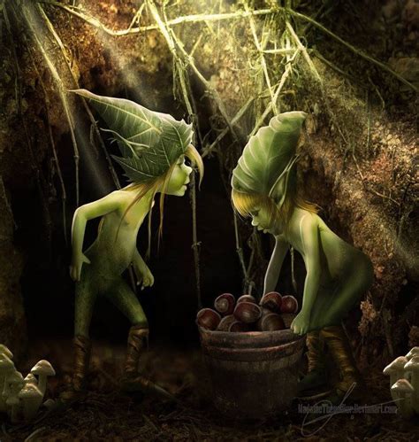 242 Best Enchanted Woodland Images On Pinterest Fairy Drawings