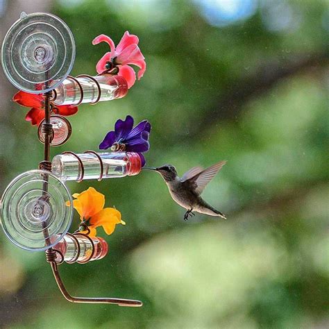 Brilliant Ways To Attract Hummingbirds To Your Backyard Humming