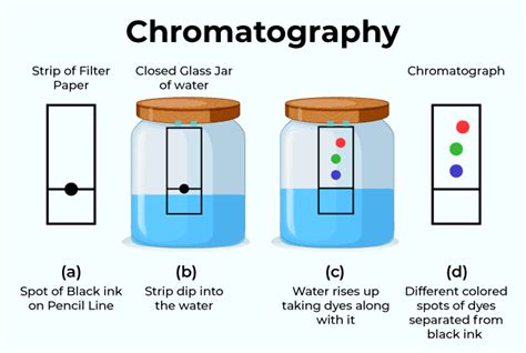 Chromatography Definition Principle Types Applications