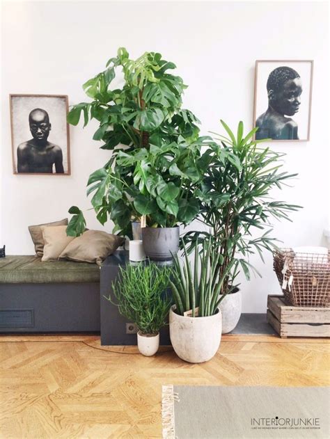 99 Creative Ways To Include Indoor Plants In Your Home Indoor Plant