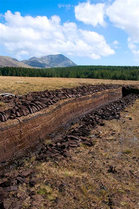 Scientists consider peat bogs to be as fragile and important as the rainforests. Amending Clay Soil With Peat Moss - Rona Mantar