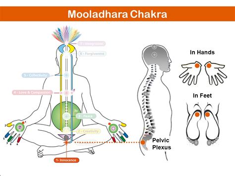 Mooladhara Chakra (Innocence) – Sahaja Yoga Science