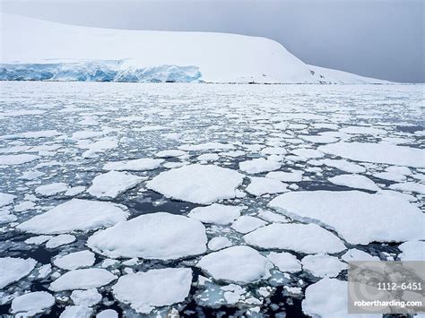 Sea Ice Forming As The Stock Photo
