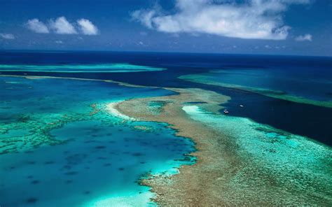 The Amazing World The Great Barrier Reef Islands