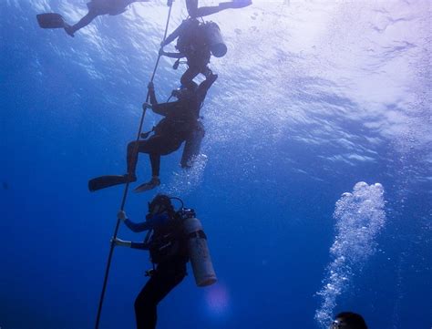 Reef Pirates Diving Honolulu All You Need To Know Before You Go