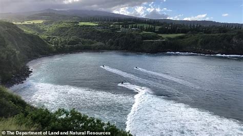 Hawaiian Surfer 56 Dies One Day After He Was Attacked By Shark In Honolua Bay Daily Mail Online