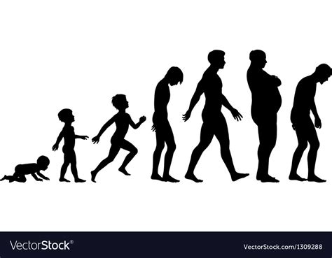 Ages Of Man Royalty Free Vector Image Vectorstock