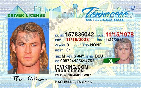 Tennessee Tn Drivers License Psd Template Download Idviking