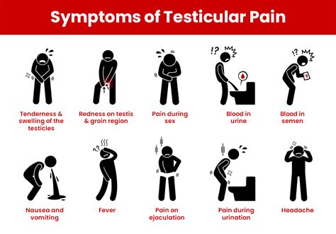 Testicular Pain Causes
