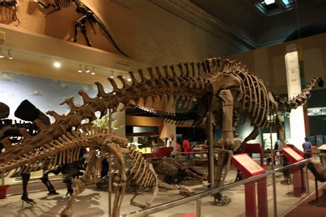 Jurassic Park Museum Of Natural History Smithsonian Instit Flickr