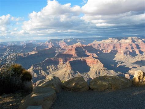 Grand Canyon Winter Magical Views Wildlife And Lodge