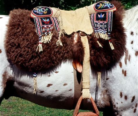 White Wolf Amazing Native American Nez Perce Horse Regalia By