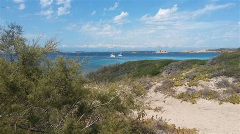 Visitez La Maddalena Guide Touristique 2024 Expedia Fr