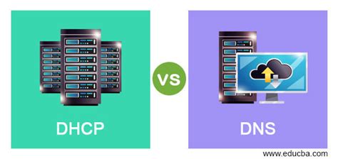 DHCP Vs DNS Learn The Comparison Purposes Of DHCP And DNS