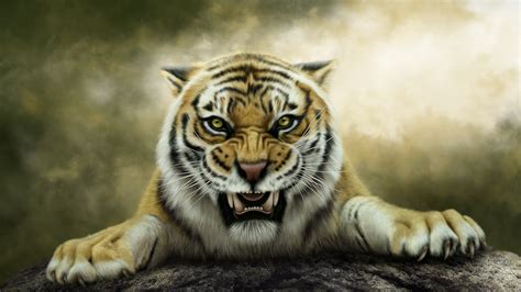 Background King Tiger Hd Wallpaper Rizop