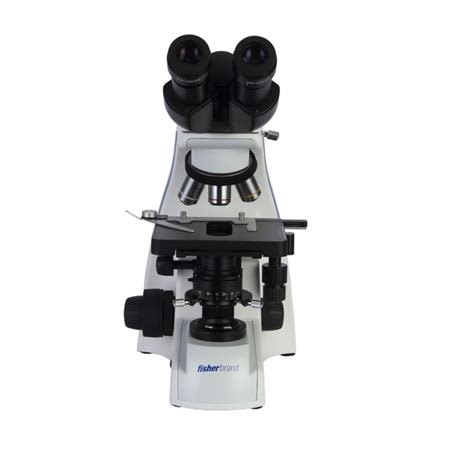 Fisherbrand Advanced Research Grade Upright Microscopemicroscopes