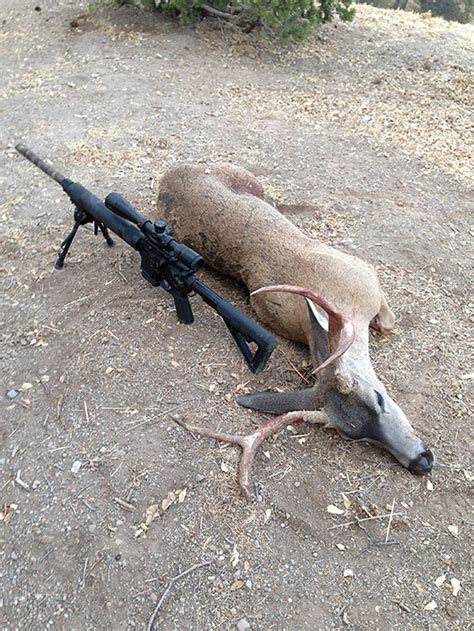 Hunting California Deer With An Ar15 In 556 Caliber