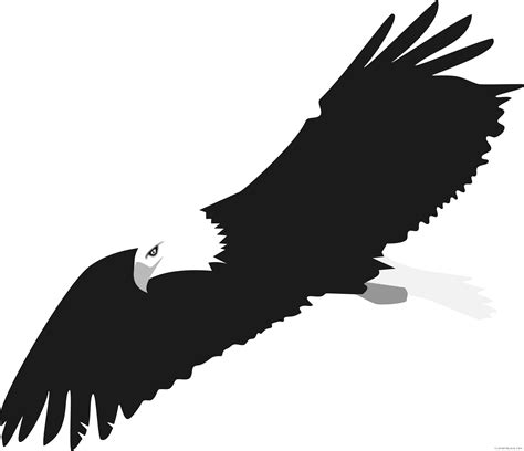 Bald Eagle Png Clipart Background Png Play