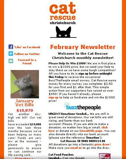 Monthly Newsletter Cat Rescue Christchurch Charitable Trust