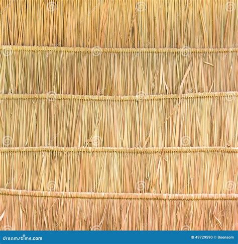Tropical Thatched Roof Background Stock Photo Image 49729590