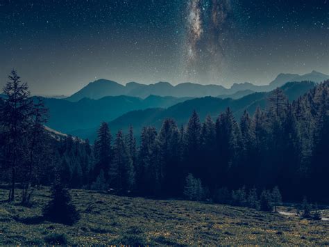 Mountains Forest Starry Sky Landscape Night Hd Wallpaper