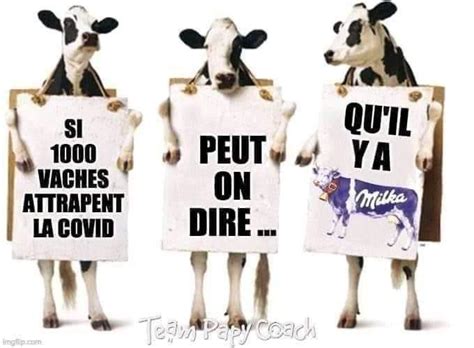 Mercredi et samedi de 10h à 18h. Humour et couvre-feu, la Toile se déchaîne