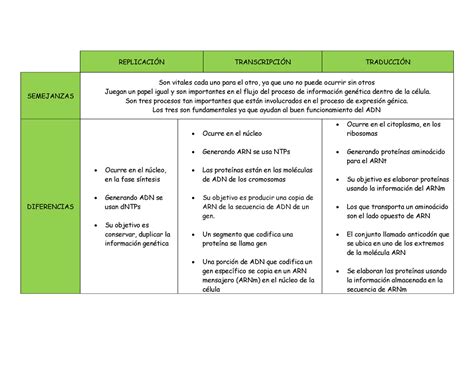 Tabla Diferencias Y Semejanzas Entre Adn Y Arn