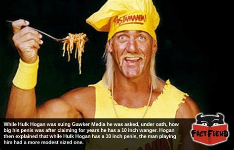 Hulk Hogan Has A Bigger Penis Than Hulk Hogan Fact Fiend