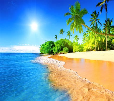 tropical paradise beach wallpaper