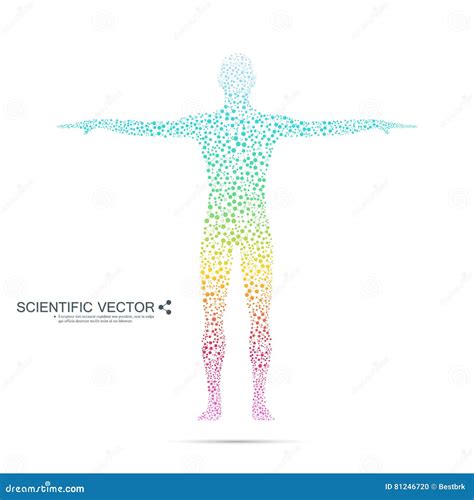 Molécula Da Estrutura Do Homem Adn Do Corpo Humano De Modelo Abstrato